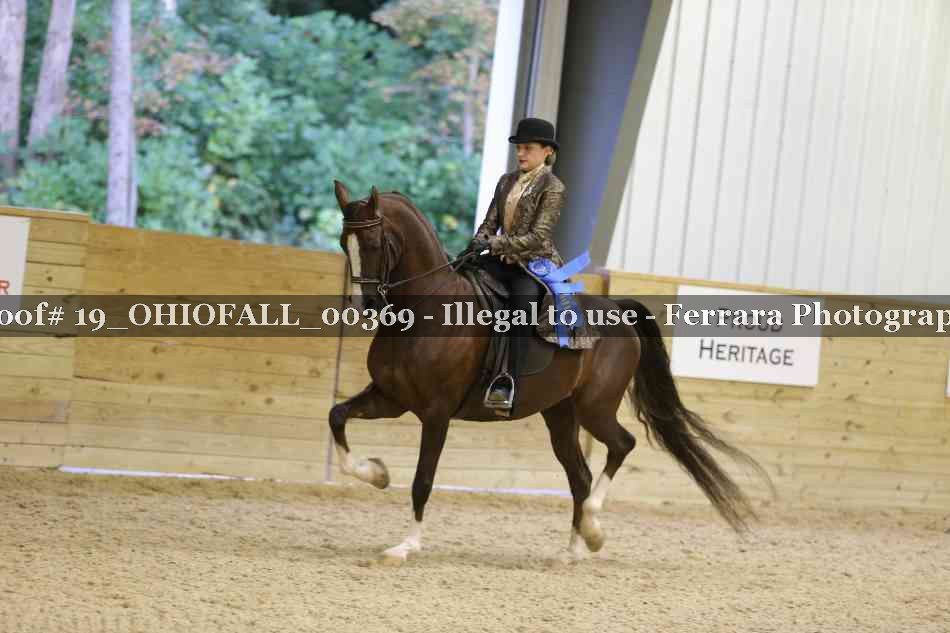 Proof 19_OHIOFALL_00369