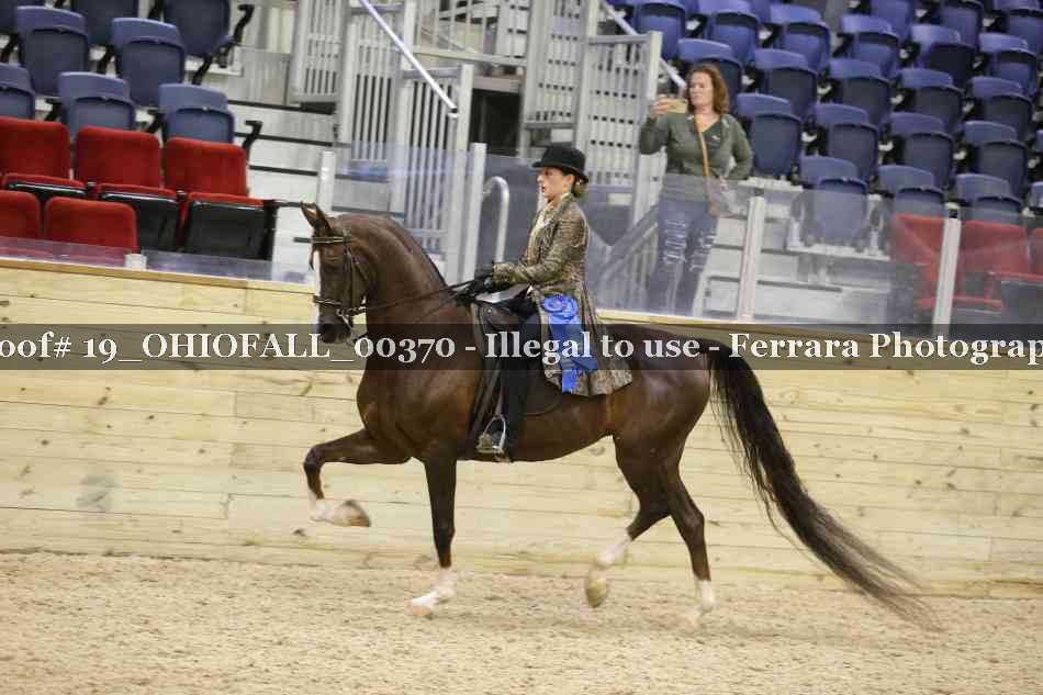 Proof 19_OHIOFALL_00370