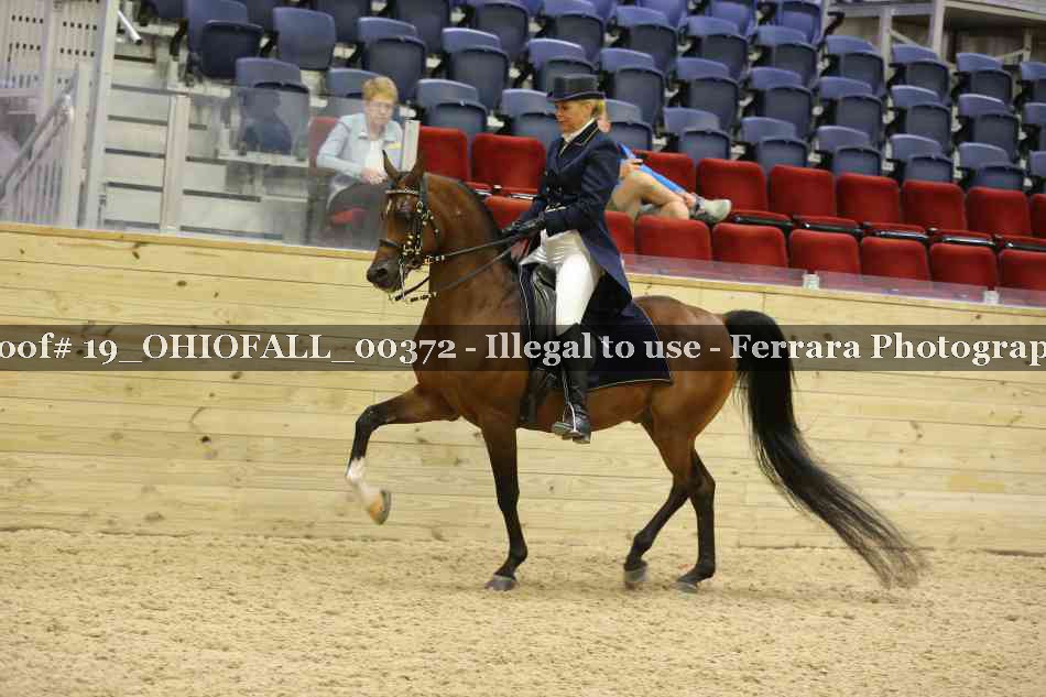 Proof 19_OHIOFALL_00372