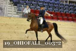 19_OHIOFALL_00372 proof