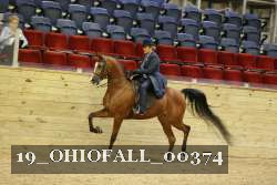 19_OHIOFALL_00374 proof
