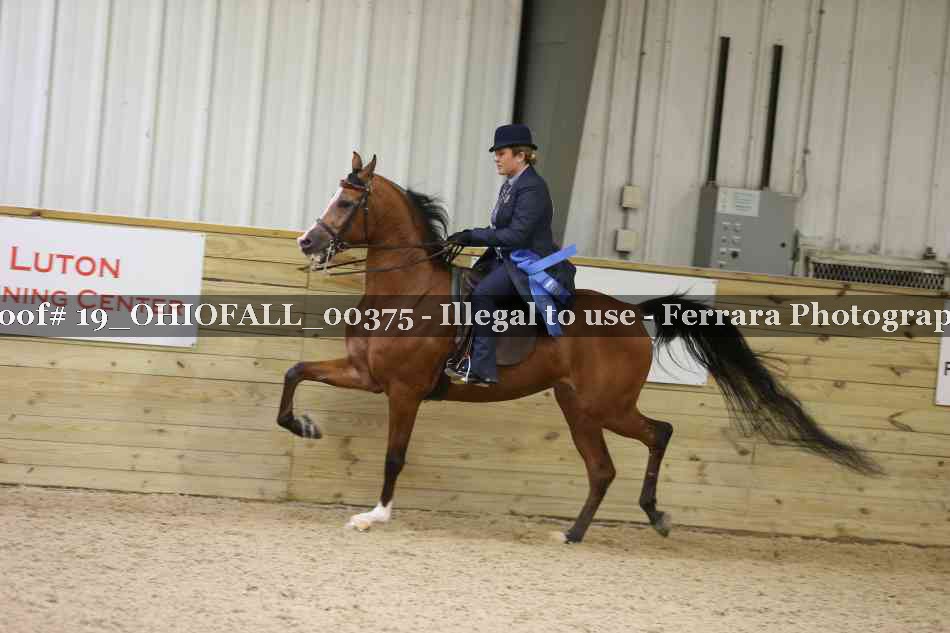 Proof 19_OHIOFALL_00375
