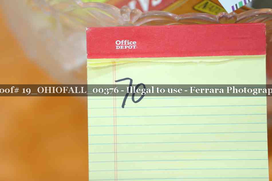 Proof 19_OHIOFALL_00376