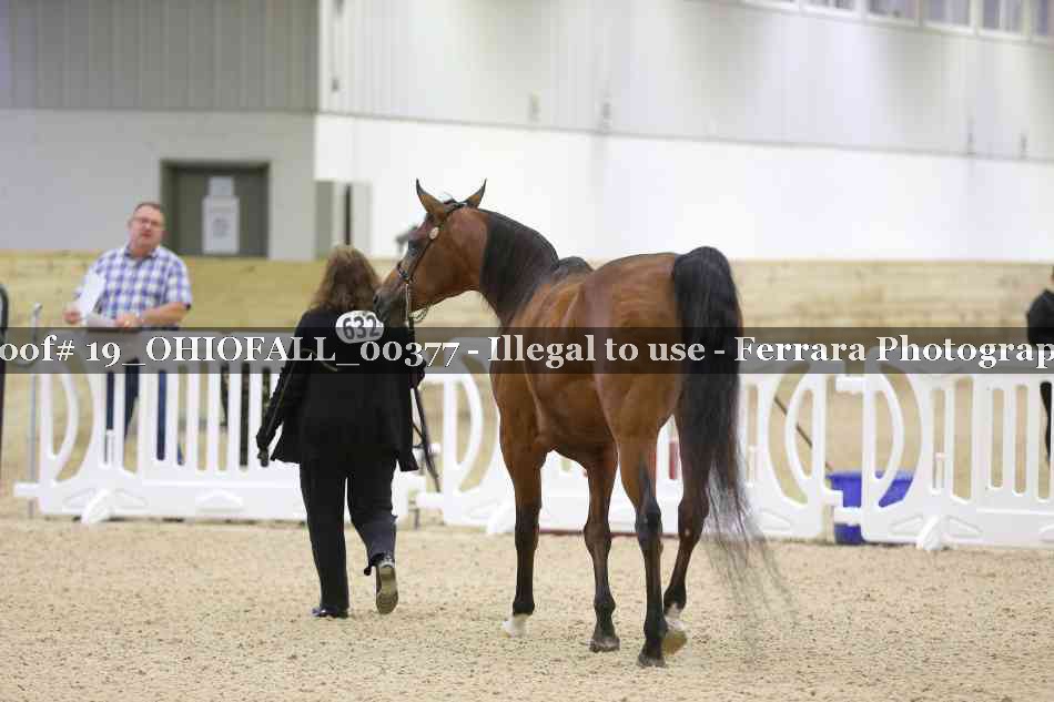 Proof 19_OHIOFALL_00377