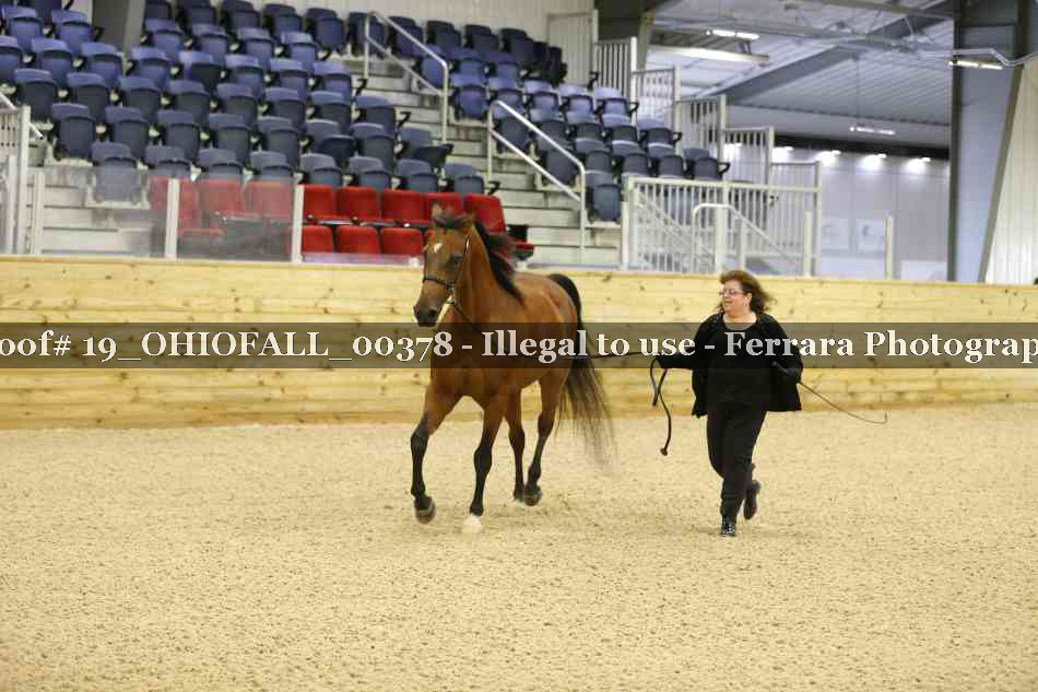 Proof 19_OHIOFALL_00378