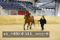 19_OHIOFALL_00378 proof