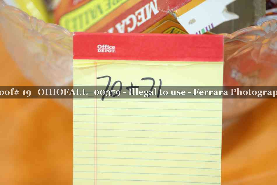 Proof 19_OHIOFALL_00379