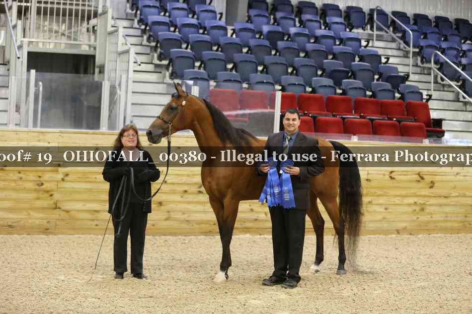 Proof 19_OHIOFALL_00380
