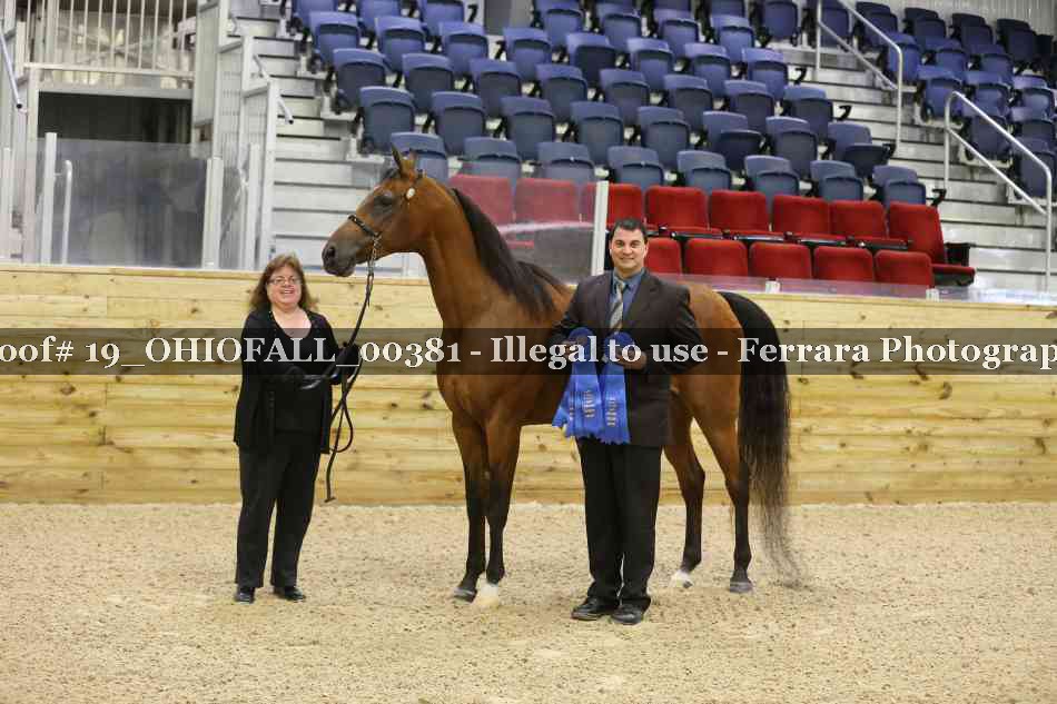 Proof 19_OHIOFALL_00381