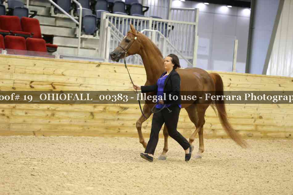 Proof 19_OHIOFALL_00383