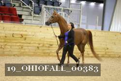19_OHIOFALL_00383 proof