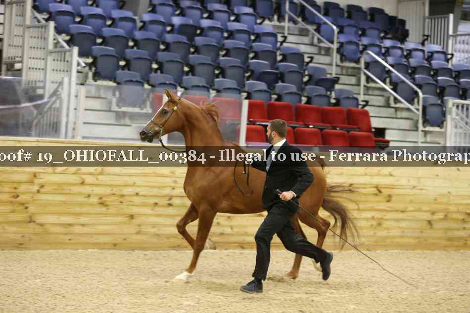 Proof 19_OHIOFALL_00384