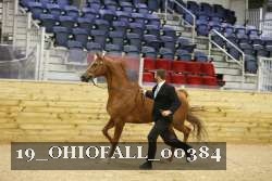 19_OHIOFALL_00384 proof