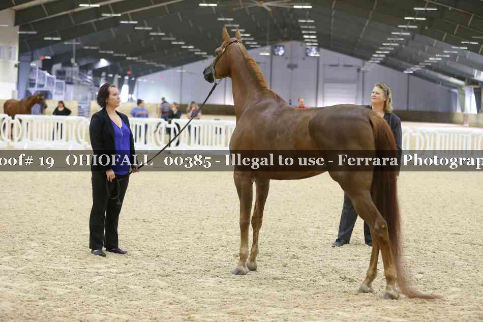 Proof 19_OHIOFALL_00385
