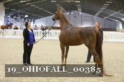 19_OHIOFALL_00385 proof