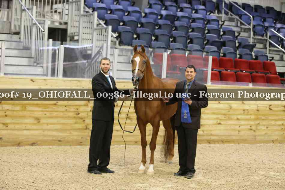 Proof 19_OHIOFALL_00386