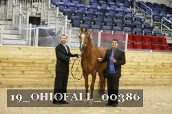 19_OHIOFALL_00386 proof