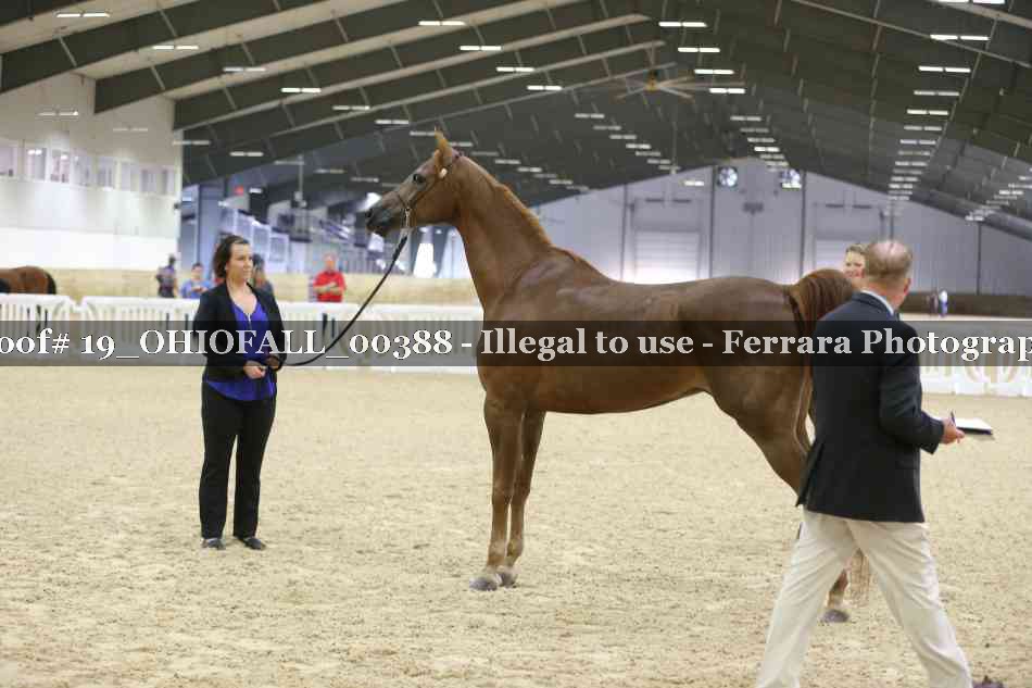 Proof 19_OHIOFALL_00388
