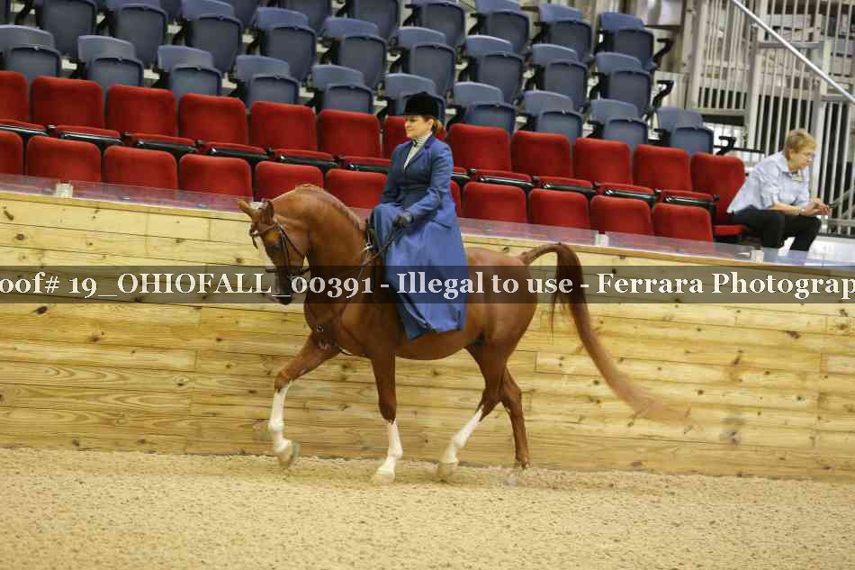 Proof 19_OHIOFALL_00391