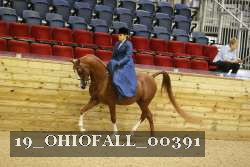 19_OHIOFALL_00391 proof