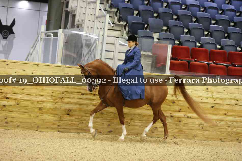 Proof 19_OHIOFALL_00392