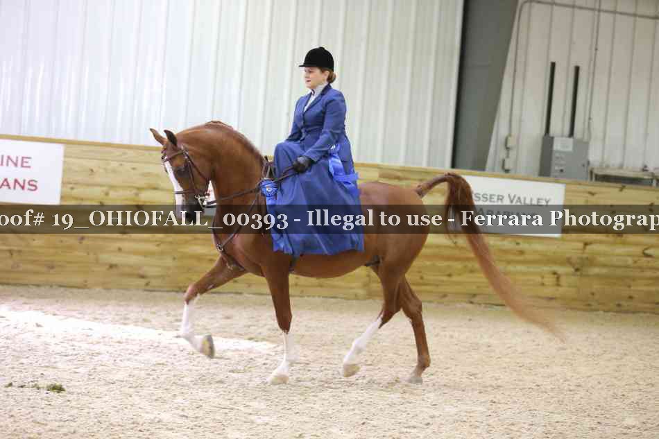 Proof 19_OHIOFALL_00393