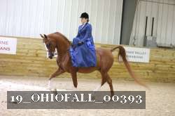 19_OHIOFALL_00393 proof