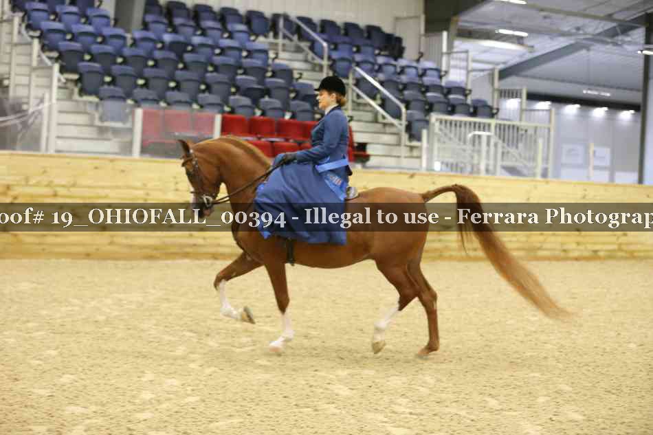 Proof 19_OHIOFALL_00394