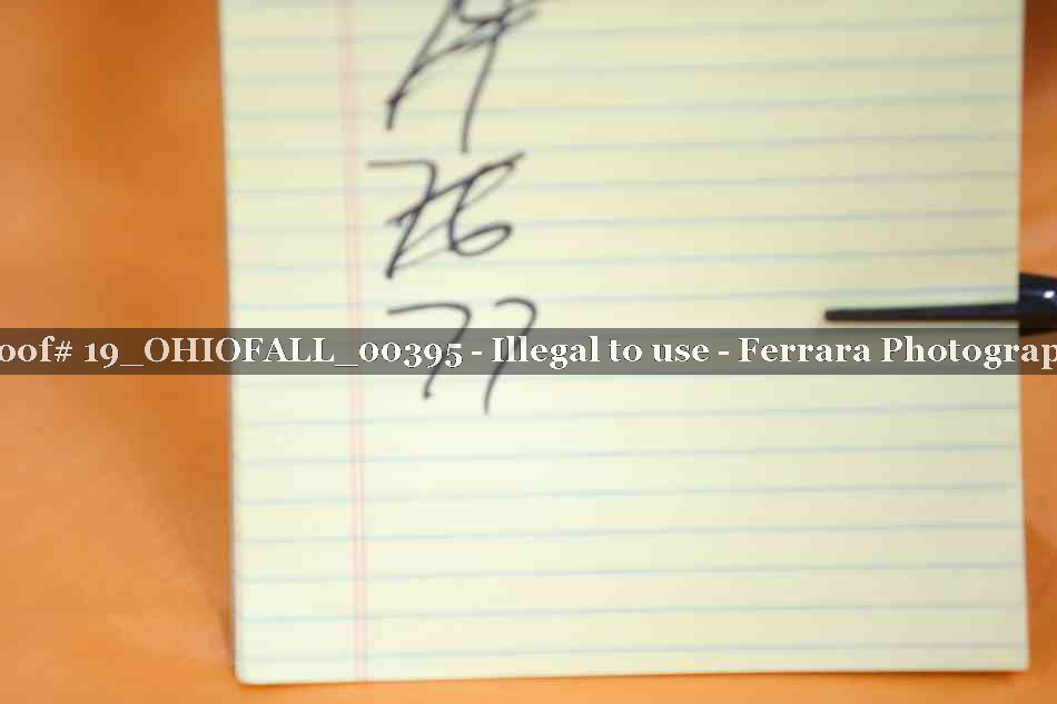 Proof 19_OHIOFALL_00395