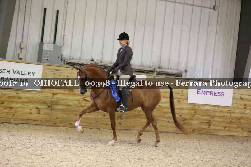 Proof 19_OHIOFALL_00398