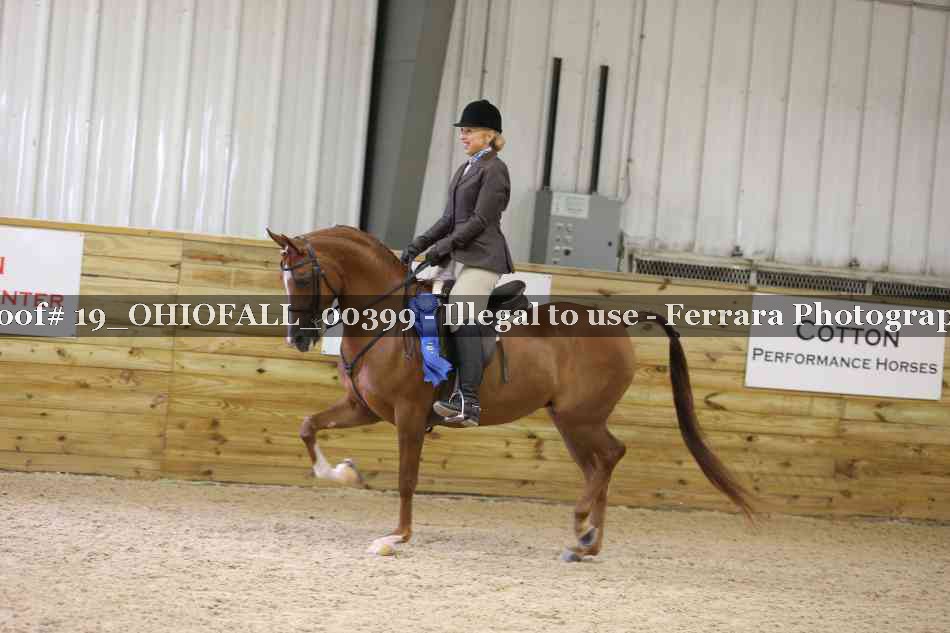 Proof 19_OHIOFALL_00399