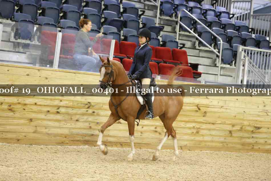 Proof 19_OHIOFALL_00401