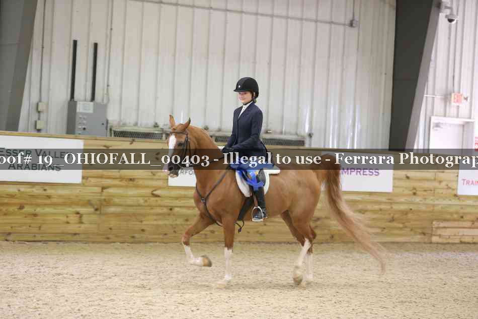 Proof 19_OHIOFALL_00403