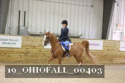 19_OHIOFALL_00403 proof