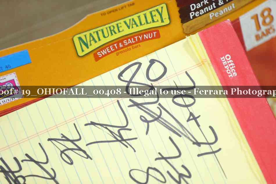 Proof 19_OHIOFALL_00408