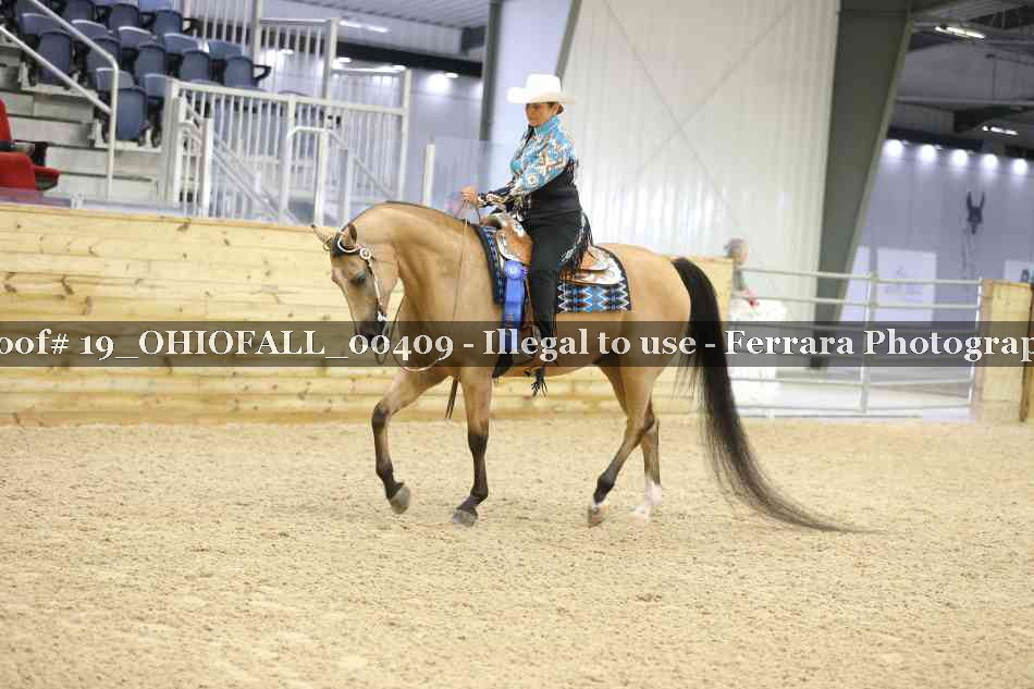 Proof 19_OHIOFALL_00409