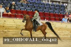 19_OHIOFALL_00412 proof