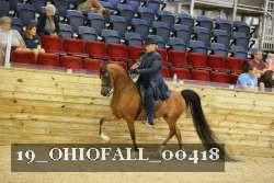 19_OHIOFALL_00418 proof