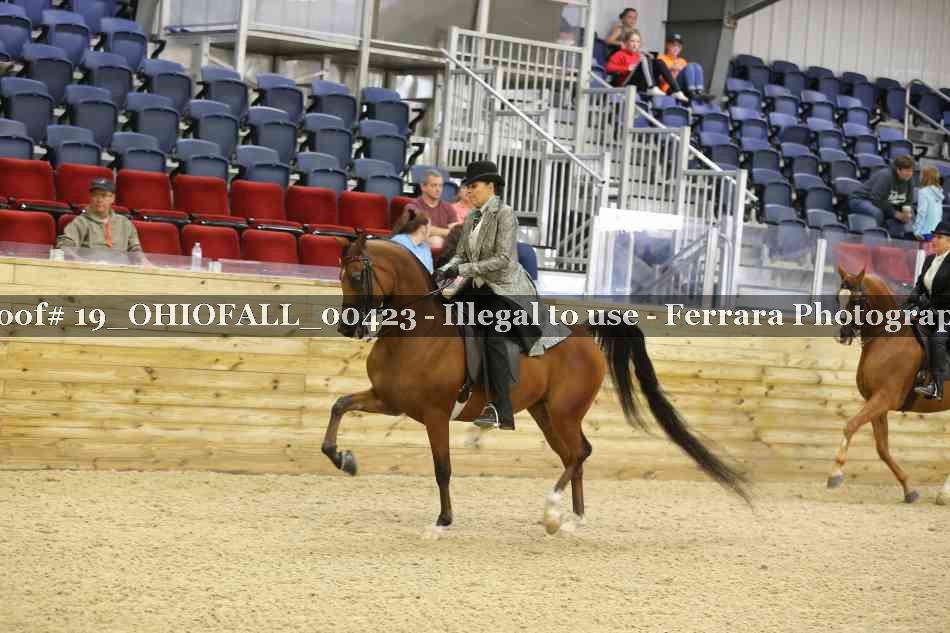 Proof 19_OHIOFALL_00423