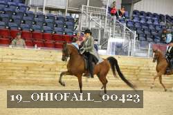 19_OHIOFALL_00423 proof