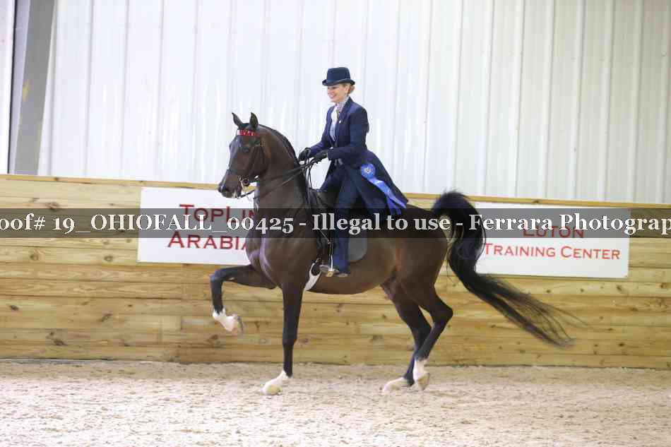 Proof 19_OHIOFALL_00425