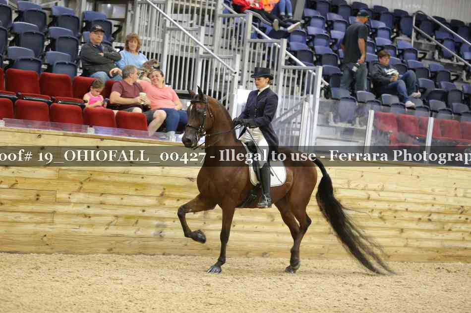 Proof 19_OHIOFALL_00427