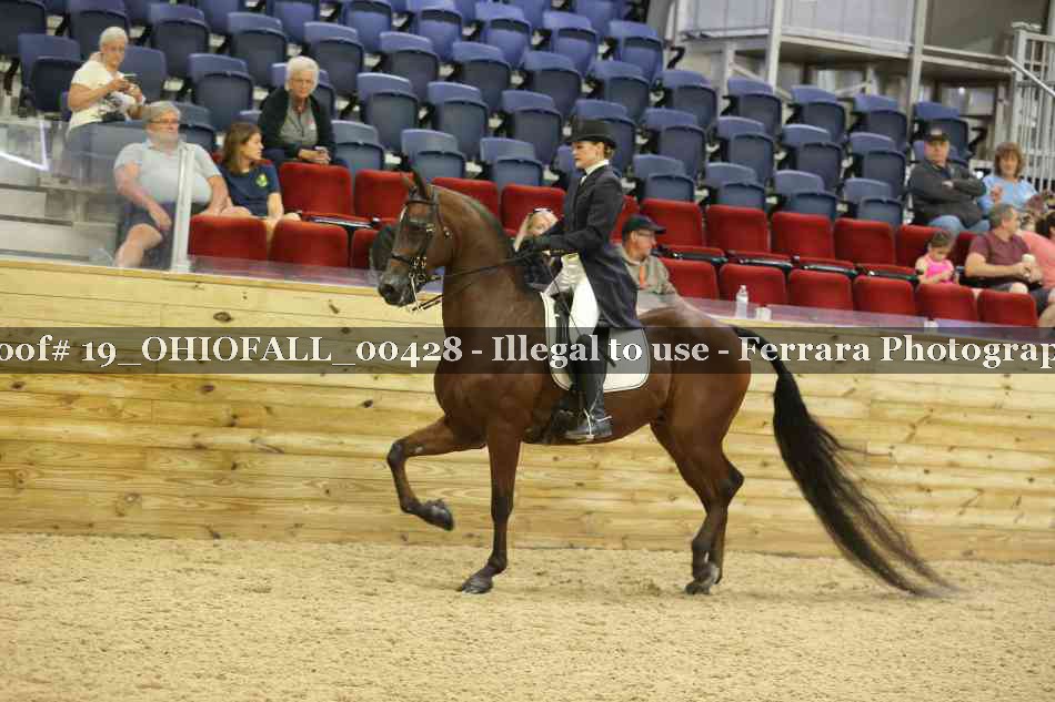 Proof 19_OHIOFALL_00428