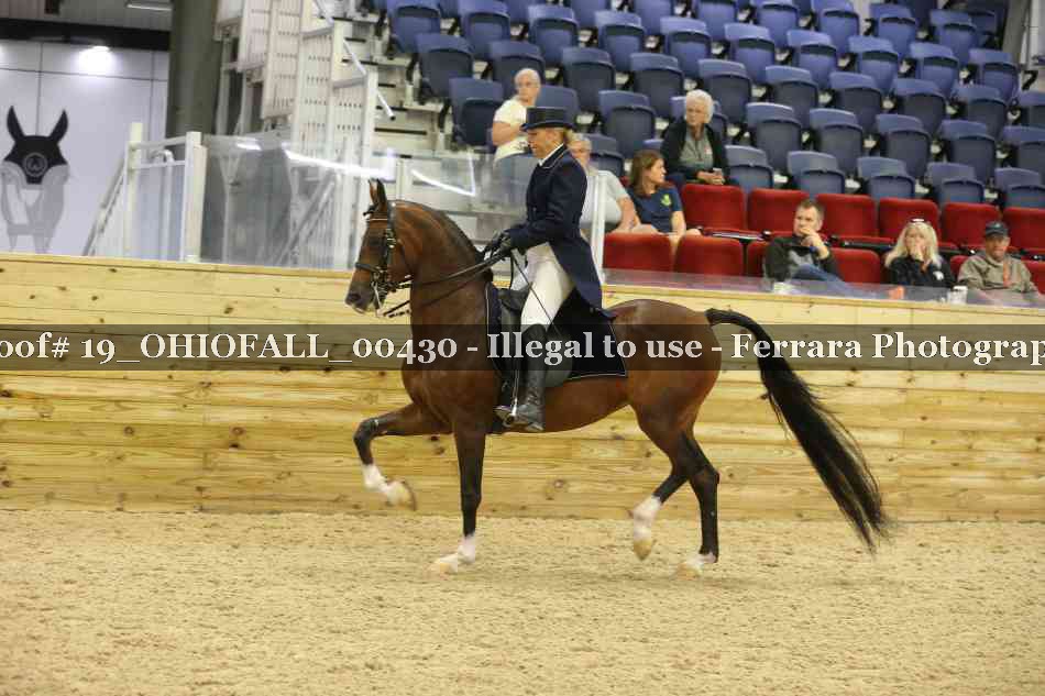 Proof 19_OHIOFALL_00430
