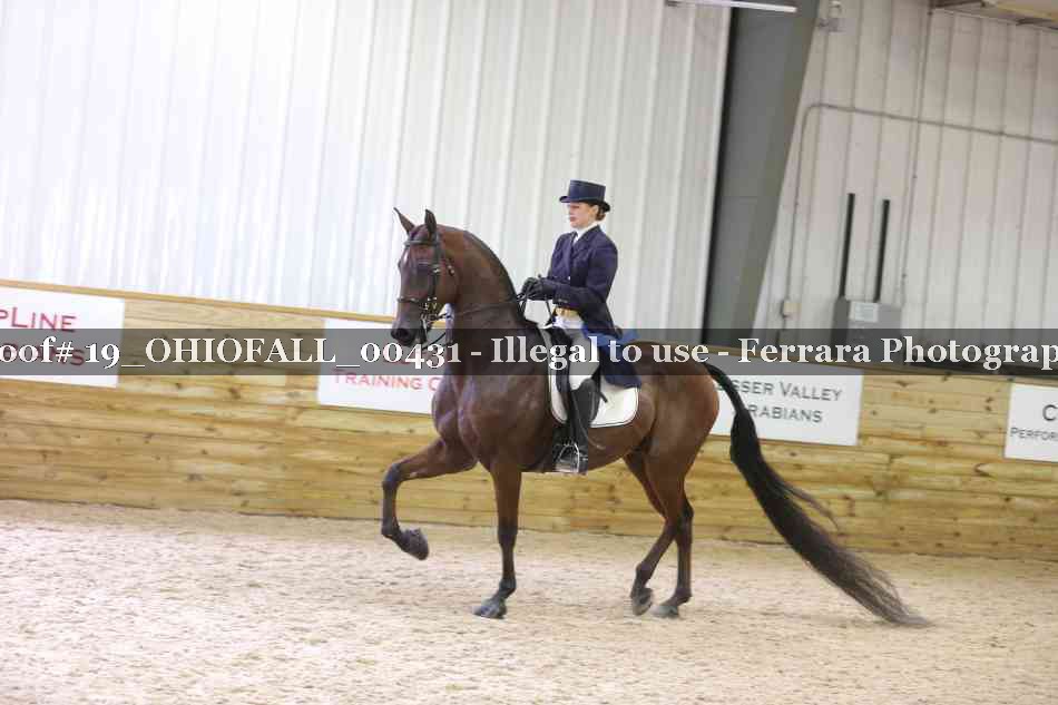Proof 19_OHIOFALL_00431