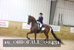 19_OHIOFALL_00431 proof