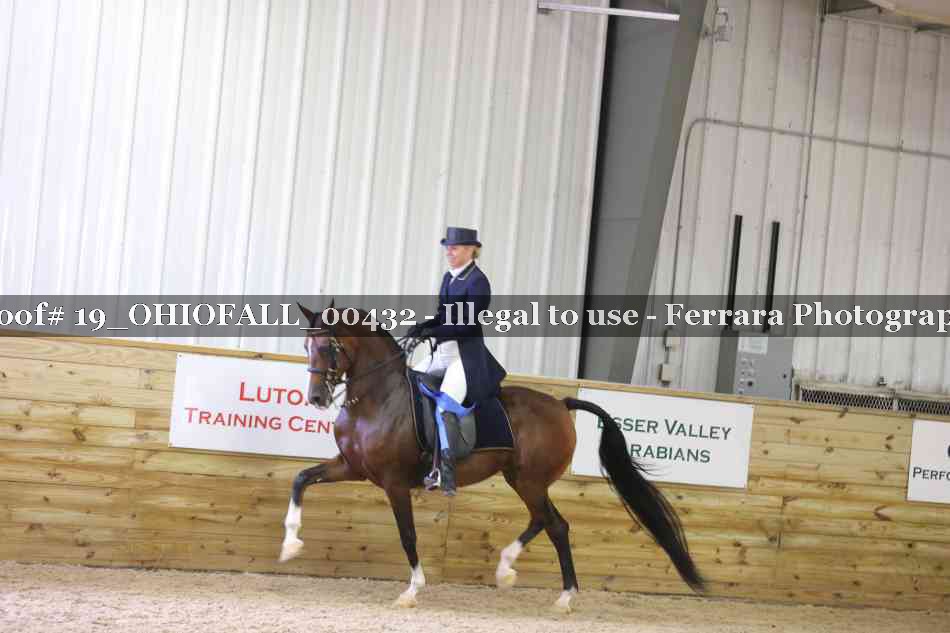 Proof 19_OHIOFALL_00432