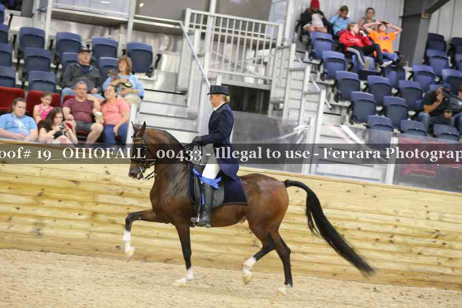 Proof 19_OHIOFALL_00433