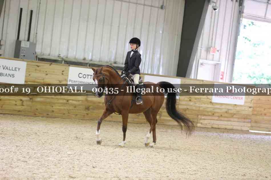 Proof 19_OHIOFALL_00435
