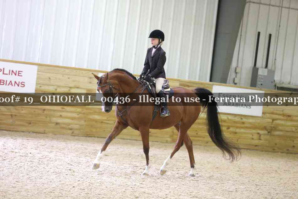 Proof 19_OHIOFALL_00436